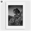 1-89_James-Walter-Chapman-Taylor_picture