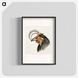 Head of a rooster - Jean Bernard Poster.