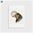 アートポストカード-Head of a rooster - ジャン ベルナール Postcard.