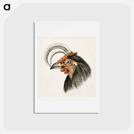 アートポストカード-Head of a rooster - ジャン ベルナール Postcard.