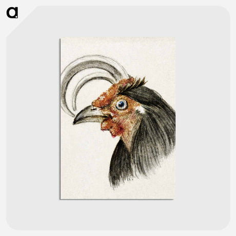 アートポストカード-Head of a rooster - ジャン ベルナール Postcard.