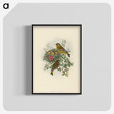 1-89_John-Gould_blk-crop