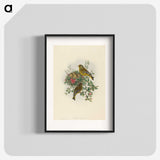 1-89_John-Gould_blk