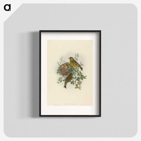 1-89_John-Gould_blk