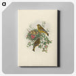 1-89_John-Gould_canvas