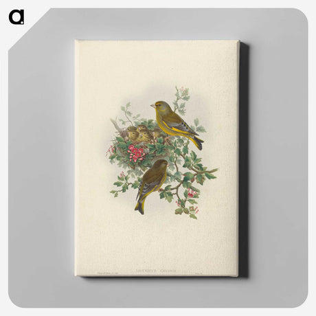 1-89_John-Gould_canvas