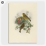 1-89_John-Gould_picture-crop