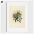 1-89_John-Gould_picture