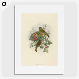 1-89_John-Gould_picture