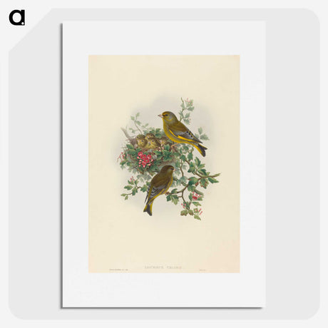 1-89_John-Gould_picture