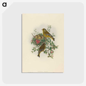 1-89_John-Gould_postcard