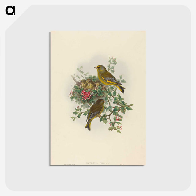1-89_John-Gould_postcard