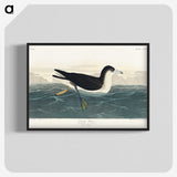 1-89_John-James-Audubon_blk-crop