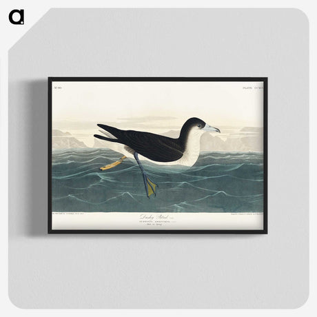 1-89_John-James-Audubon_blk-crop