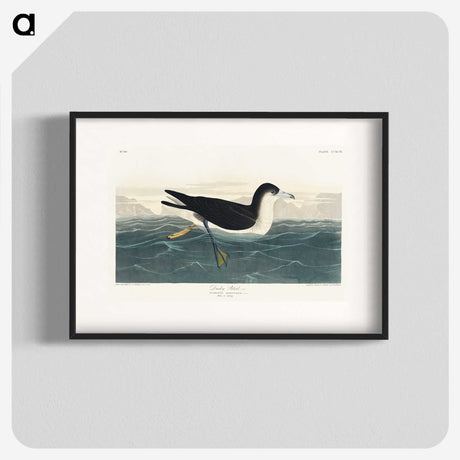 1-89_John-James-Audubon_blk