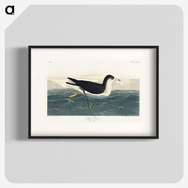 1-89_John-James-Audubon_blk
