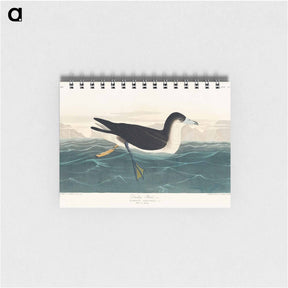 アートメモ帳-Dusky Petrel
 - ジョン ジェームス オーデュボン Memo.