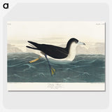 1-89_John-James-Audubon_picture-crop