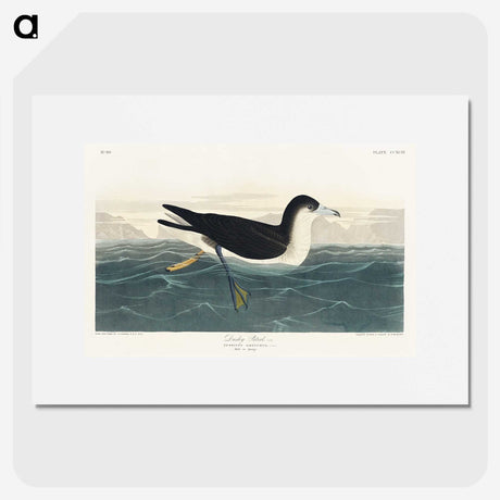 1-89_John-James-Audubon_picture