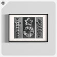 アートポスター-Thujopsis dolabrata enlarged 10 times, Solanum tuberosum (Potato) enlarged 5 times, and Thujopsis dolabrata enlarged 10 times from Urformen der Kunst by . Original from The Rijksmuseum. Digital - カール ブロスフェルト Poster.