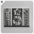 1-89_Karl-Blossfeldt_canvas