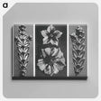 アートパネル-Thujopsis dolabrata enlarged 10 times, Solanum tuberosum (Potato) enlarged 5 times, and Thujopsis dolabrata enlarged 10 times from Urformen der Kunst by . Original from The Rijksmuseum. Digital - カール ブロスフェルト Canvas.