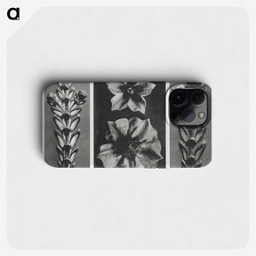 1-89_Karl-Blossfeldt_phone