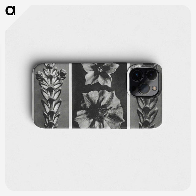 1-89_Karl-Blossfeldt_phone