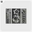 1-89_Karl-Blossfeldt_postcard