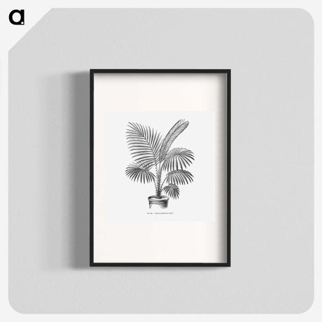 1-89_Les-Palmiers-Histoire-Iconographique_blk
