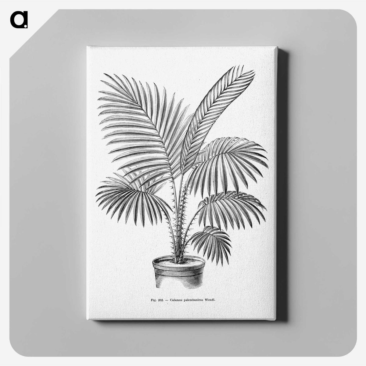 1-89_Les-Palmiers-Histoire-Iconographique_canvas