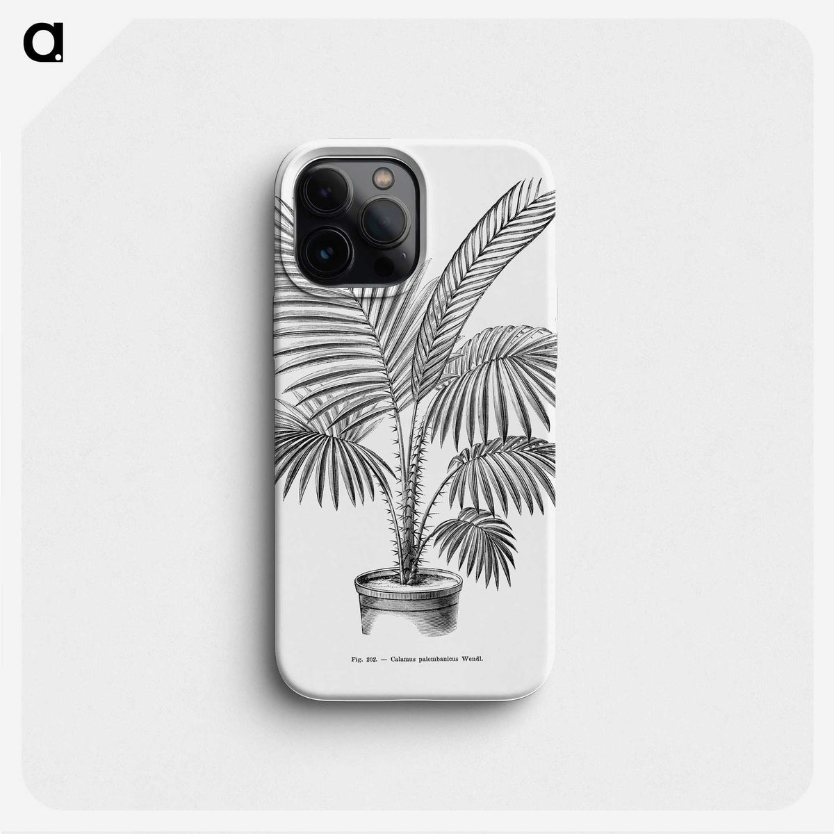 1-89_Les-Palmiers-Histoire-Iconographique_phone