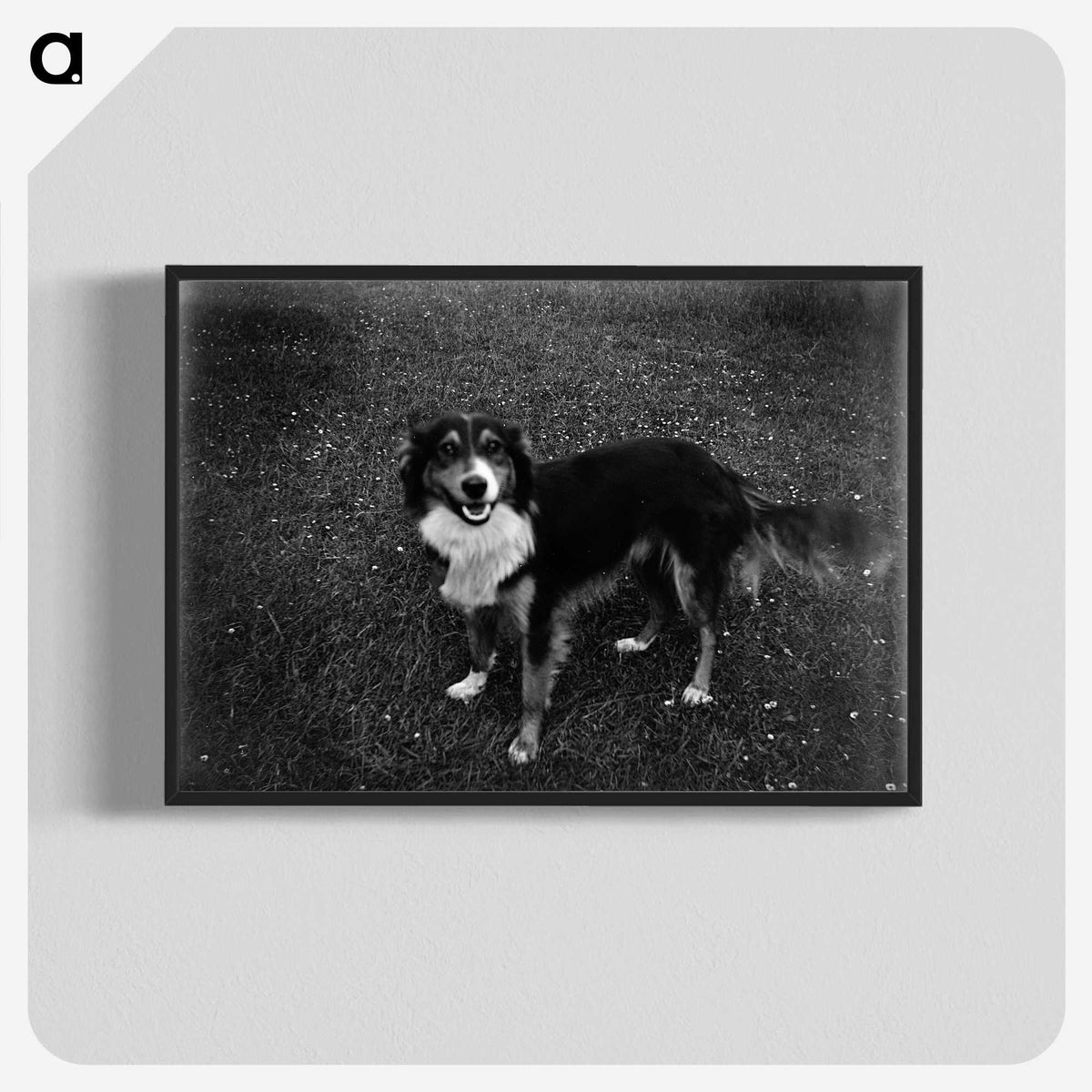 1-89_Leslie-Adkin_blk-crop