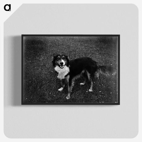 1-89_Leslie-Adkin_blk-crop