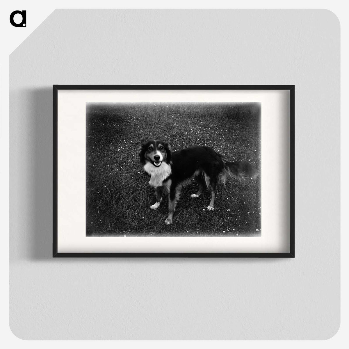 1-89_Leslie-Adkin_blk