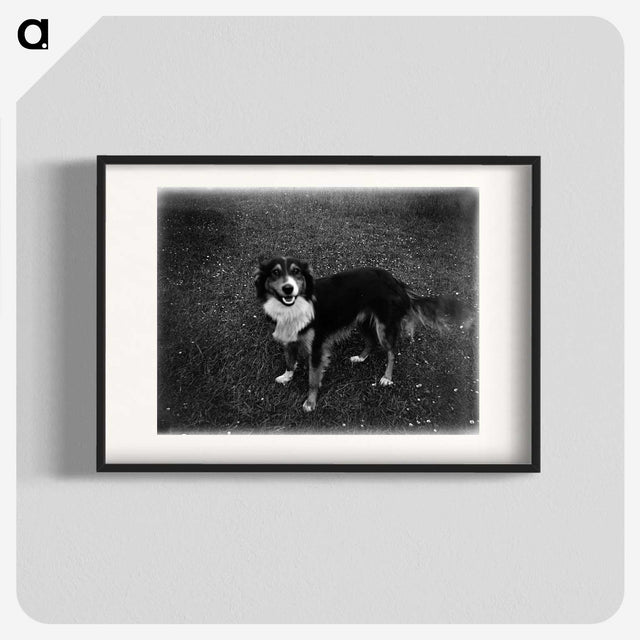 1-89_Leslie-Adkin_blk