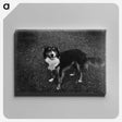 1-89_Leslie-Adkin_canvas