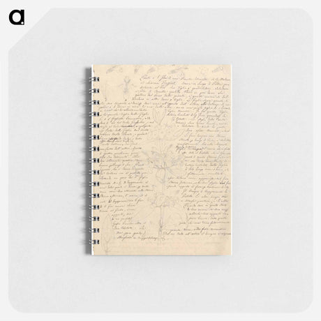 アートメモ帳-Otostegia tomentosa
 - ルイージ バルガーニ Memo.