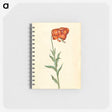 1-89_Maria-Sibylla-Merian_memo