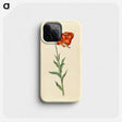 1-89_Maria-Sibylla-Merian_phone