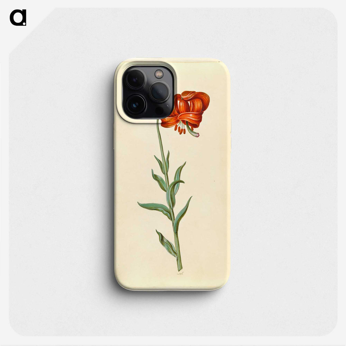 1-89_Maria-Sibylla-Merian_phone