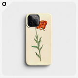 1-89_Maria-Sibylla-Merian_phone
