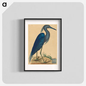 アートポスター-The Blue Heron
 - マーク ケイツビー Poster.