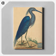 アートパネル-The Blue Heron
 - マーク ケイツビー Canvas.