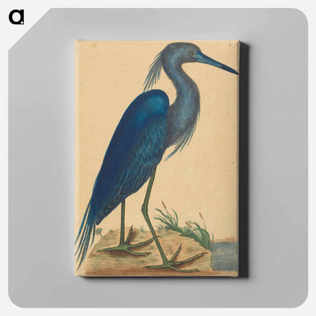 アートパネル-The Blue Heron
 - マーク ケイツビー Canvas.