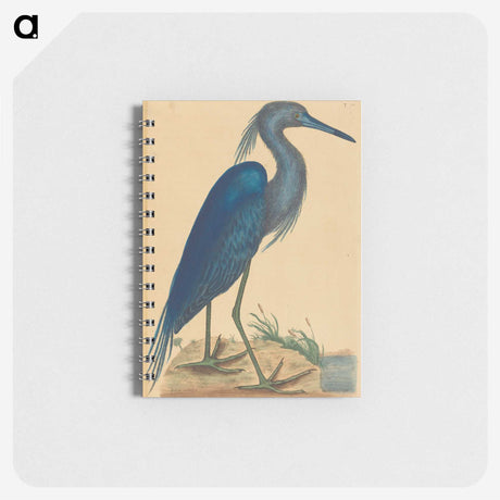 1-89_Mark-Catesby_memo