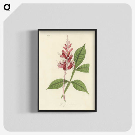 1-89_Medical-Botany_blk-crop