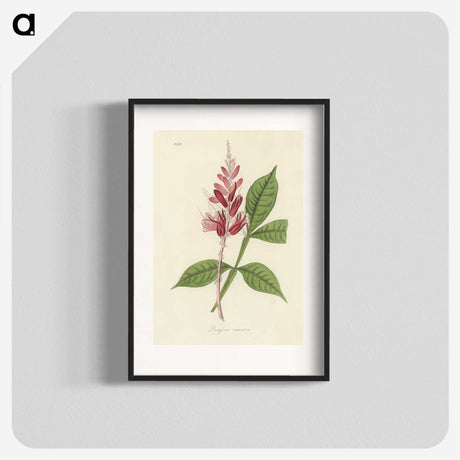 1-89_Medical-Botany_blk