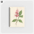 アートメモ帳-Lunasia amara Illustration
 - 薬用植物学 Memo.