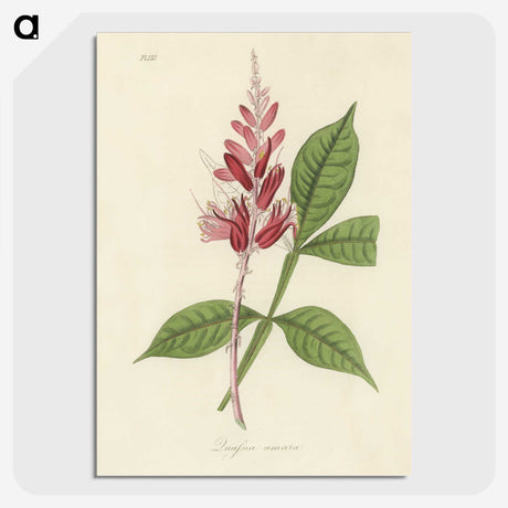 1-89_Medical-Botany_picture-crop